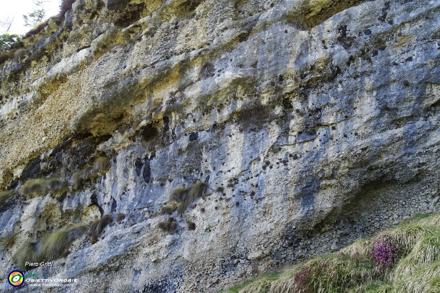 19 Bancata con breccia carbonatica cementata e calcare-dolomia.JPG